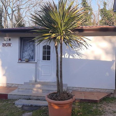 Apartments Rale Umag Exterior photo